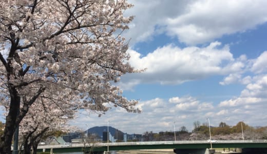 無職5日目。無職にこそ規則正しい生活が必要